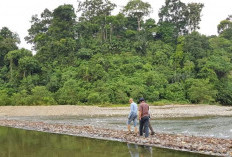 Lahan Sawah Kian Menyempit, Pemkab Bakal Bangun Irigasi dan Bendungan Air Nelengau Ganjuh