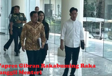 Terkait Penurunan Stunting, Wapres Panggil Menteri, Ini Penjelasannya