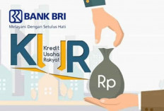 Mudah Banget! Pinjaman KUR BRI 400 Juta, Begini Cara Mengajukannya