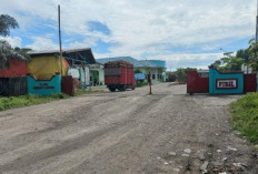 H-6 Ramadan, Harga TBS Kelapa Sawit di Bengkulu Selatan  Capai Rp 2.980/Kg, PKS : Jelang Idul Fitri Melorot