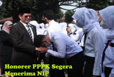 Mekanisme Pengangkatan Honorer Menjadi PPPK 2024, Seluruh Honorer Segera Menerima NIP