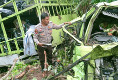 Fuso Bawa Motor Hantam Fuso CPO Parkir, Kedua Masuk Jurang Tebing Batu Manulla, Ini Kronologisnya!