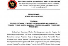 Contoh Format Surat Keterangan Aktif Bekerja, untuk Melamar PPPK Teknis dan Guru 2024