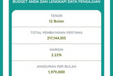 Kredit Suzuki APV Tanpa Riba di BSI, Cicilannya Bisa Cuma Rp 475 Ribuan Sebulan