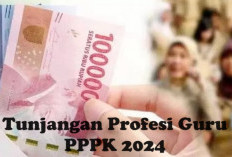 Tunjangan Profesi Guru PPPK 2024 Kembali Dicairkan, Perhatikan Jadwal Pembayaran Ini