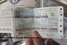 Banyak yang Belum Tahu, Ternyata Ini Manfaat Pemutihan Pajak Kendaraan! Jangan Sampai Terlewat Ya!