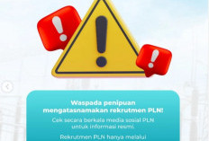 Kirimkan Berkas Lamaranmu: PT Pembangkit Jawa Bali PLN Group Buka Lowongan Kerja