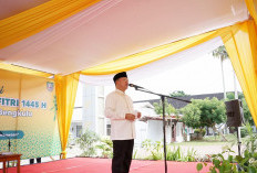 Penghujung Jabatan, Gubernur Bengkulu Perbaiki  Kantor dan GSG, Segini Dana yang Digelontorkan