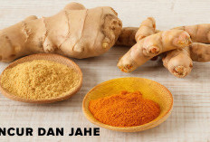 Bumbu Dapur Berkhasiat Untuk Kesehatan, Kencur dan Jahe Redakan Sakit Kepala Hingga Masuk Angin