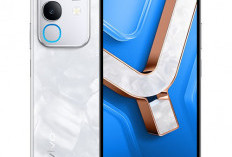 Vivo Terbaru 2025 Harga Damai, Berkelas dan Tak Mengecewakan, Ini Dia Jenis Vivo yang Laris