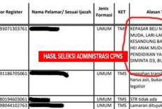 CEK!Instansi Ini Sudah Mengumumkan Hasil Seleksi Administrasi CPNS 2024 Beserta PDF