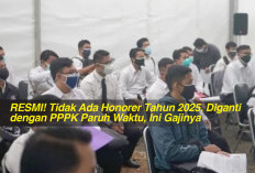 RESMI! Tidak Ada Honorer Tahun 2025, Diganti dengan PPPK Paruh Waktu, Ini Gajinya