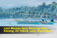 Laut Merpas Spot Mancing Ikan Karang, Ini Teknik yang Digunakan 