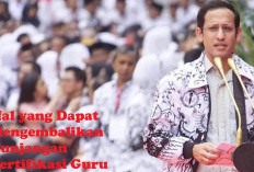 Guru Wajib Tahu! 3 Hal yang Dapat Mengembalikan Uang Sertifikasi