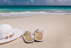 Jangan Sampai Bingung Lagi, Ini Pilihan Model Sandal yang Cocok untuk Lebaran 2026!