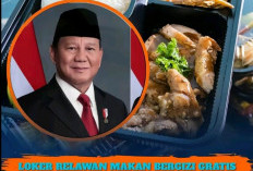 Loker Relawan Makan Bergizi Gratis Dibuka Pemerintah, Ini Syarat dan Cara Mendaftar