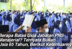 Berapa Batas Usia Jabatan PNS Manajerial? Ternyata Bukan Usia 65 Tahun, Berikut Ketentuannya