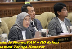 5 Skenario KemenPAN–RB dalam Penataan Tenaga Honorer, Awas PHK