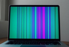 LCD Laptop Rusak Bikin Pusing, Kenali Penyebab dan Cara Untuk Mengatasinya