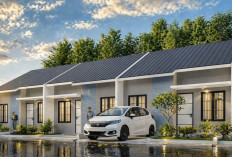 Rumah Subsidi Jadi Pilihan Tepat Bagi Masyarakat Ingin Memiliki Hunian Nyaman dengan Harga Lebih Murah
