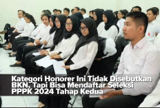 Kategori Honorer Ini Tidak Disebutkan BKN, Tapi Bisa Mendaftar Seleksi PPPK 2024 Tahap Kedua