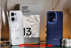 Performa Cepat, Kamera Tajam, dan Baterai Awet, Ini Alasan OPPO Reno 13F 4G Layak Dimiliki, Harga Rp 4 Jutaan