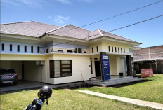 Program Internet Gratis di Seluruh Desa  Bengkulu Disambut Baik KP2KP Bintuhan