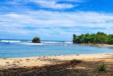 5 Desa Kaur Diusulkan Masuk Program Kampung Nelayan Merah Putih 2027, Cek Keunggulannya!