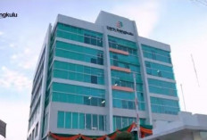 Tabel KUR Bank Bengkulu Mei 2026 Terbaru, Pinjaman Rp 50 Juta Cicilan Rp 960 Ribuan!
