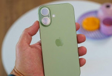 iPhone 17 Makin Tak Terbendung, Jadi Raja Penjualan Smartphone Dunia Dua Kuartal Beruntun