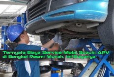 Ternyata Biaya Service Mobil Suzuki APV di Bengkel Resmi Murah, Ini Biayanya 