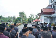 Bengkulu Selatan Kekurangan Pejabat Fungsional, Ini Langkah Dilakukan Pemkab