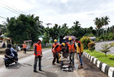 JAMIN MUDIK LANCAR! 50 Titik Jalan Lintas di Bengkulu Selatan Dipastikan Mulus Sebelum Lebaran