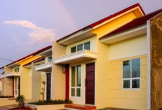 Begini Desain Modern Rumah Subsidi Bergaya Minimalis Elegan, Cocok Kawasan Perkotaan