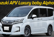 4 Alasan Kenapa Suzuki APV Luxury 2024 Dijuluki Baby Alphard