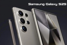 Samsung Galaxy S25 Lebih Keren dari Samsung S24, Begini Faktanya! 