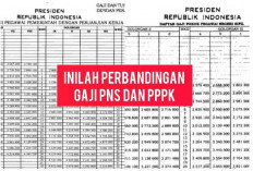 Meski Sama-sama Bersetatus Pegawai, Inilah Perbedaan Gaji PNS dan PPPK 