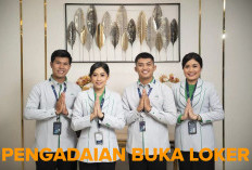 Lulusan S1 Merapat! Pengadaian Buka Loker untuk 3 Posisi, Cek Persyaratannya di Sini