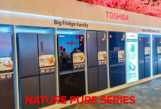 Nature Pure Series: Kulkas Jumbo Terbesar di ASEAN untuk Keluarga Modern