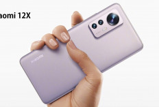 Xiaomi 12X: Solusi Terbaik Handphone dengan Spek Menggiurkan!