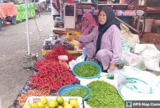 Harga Cabai Merah di Bengkulu Selatan Terjun Bebas, Cek Faktanya