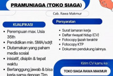 Lowongan Pekerjaan di Toko Siaga Rawa Makmur Kota Bengkulu, Mencari Calon Karyawan Ahli dalam Media Sosial