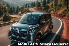 Melintas Hujan, Ini Kekurangan Mobil APV, Ganggu Pengemudi dan Penumpang