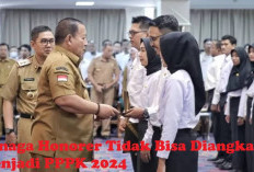 MENGEJUTKAN! Ada Tenaga Honorer Tidak Bisa Diangkat Menjadi PPPK 2024, Ini Cirinya