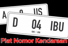 Yuk Cari Tahu di Sini, Apa Sih Perbedaan Warna Plat Nomor Kendaraan di Indonesia?