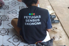Sensus Ekonomi 2026 di Bengkulu Ramai Penolakan, Ini Persentase dan Jawabannya! 