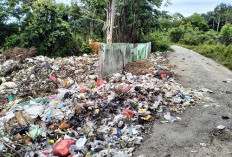 Kondisi TPA Kaur Meluber, Sampah Berserakan Hingga ke Jalan Raya