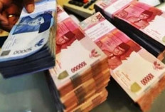 KUR Bank Bengkulu Agustus 2026 Makin Dilirik UMKM, Ini Simulasi Angsuran Pinjaman Rp150 Juta