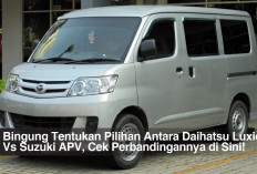 Bingung Tentukan Pilihan Antara Daihatsu Luxio Vs Suzuki APV, Cek Perbandingannya di Sini!