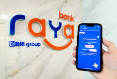 Bantu Nasabah Cerdas Kelola Keuangan, Aplikasi Raya Hadirkan Raya Story